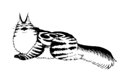 絵：松田くん（小説『Drive to Pluto』登場猫）