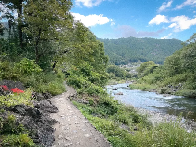 写真：御岳渓谷　赤いヒガンバナが咲いている