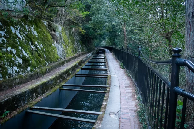 写真：南禅寺の水路閣から疎水分線を歩き、蹴上放水所へ続く道。森の斜面を通るレンガ造りの水路で、琵琶湖疎水が流れている。