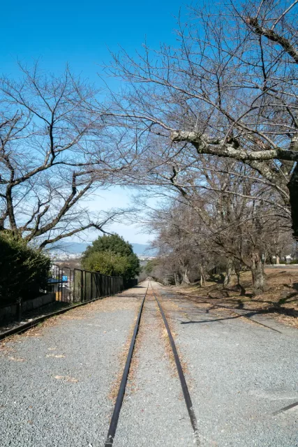 写真：インクライン運転跡地。下り坂の上をまっすぐにレールが通っている。斜面の下には京都市動物園方面の京都の町並みが見える。