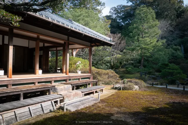 写真：青蓮院 華頂殿と庭園。日の当たる縁側には、おそらくボタンと思われる薄ピンク色の花が飾られている。