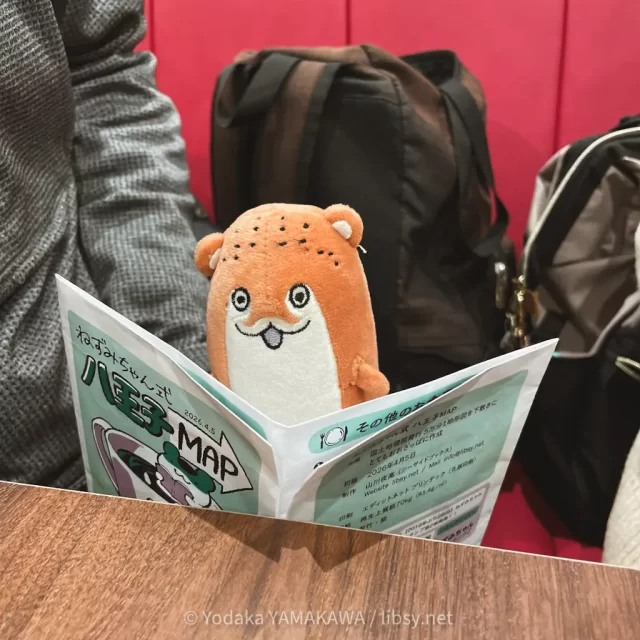 写真：『ねずみちゃん式 八王子MAP』の試作品を読むボクカワウソ